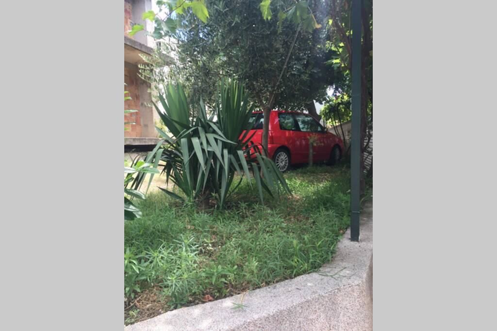 Апартаменты Apartments Miljanic Сутоморе-28