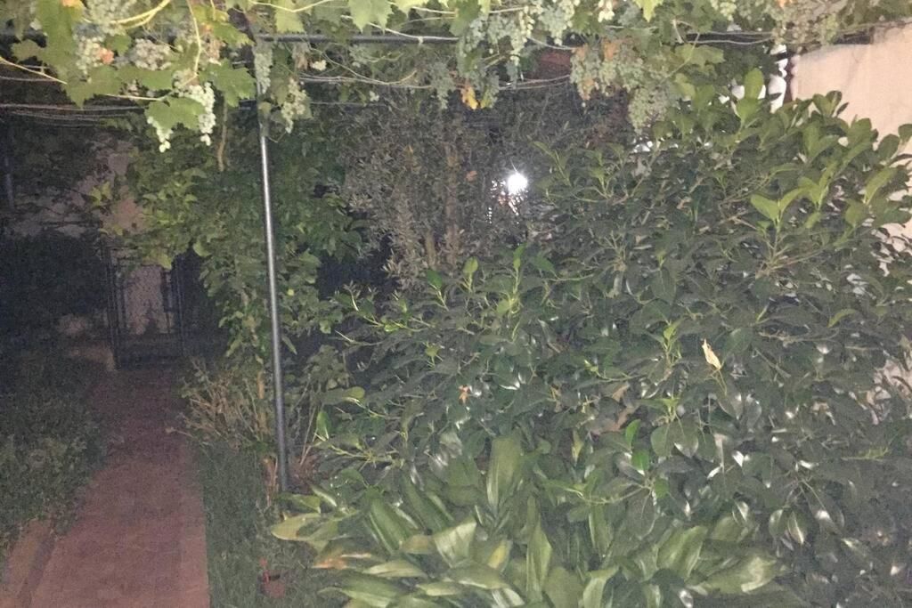 Апартаменты Apartments Miljanic Сутоморе-54