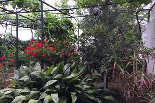 Апартаменты Apartments Miljanic Сутоморе Апартаменты с 2 спальнями-14