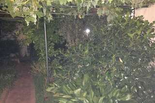 Апартаменты Apartments Miljanic Сутоморе Апартаменты с 2 спальнями-18