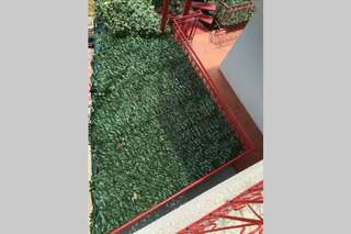 Апартаменты Apartments Miljanic Сутоморе Апартаменты с 2 спальнями-20