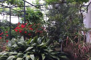 Апартаменты Apartments Miljanic Сутоморе Апартаменты с 2 спальнями-53