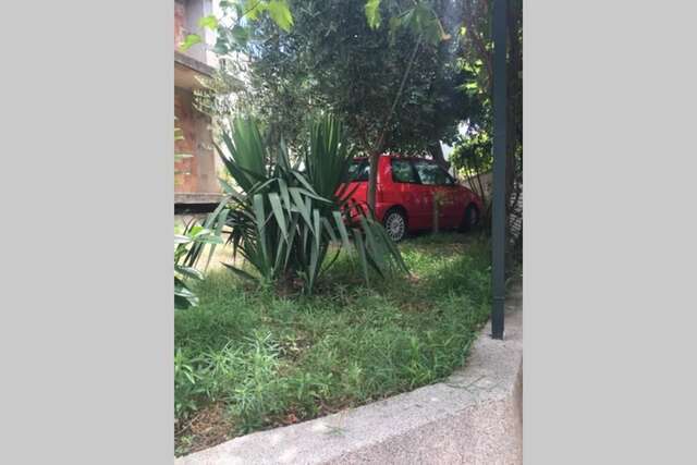 Апартаменты Apartments Miljanic Сутоморе-56